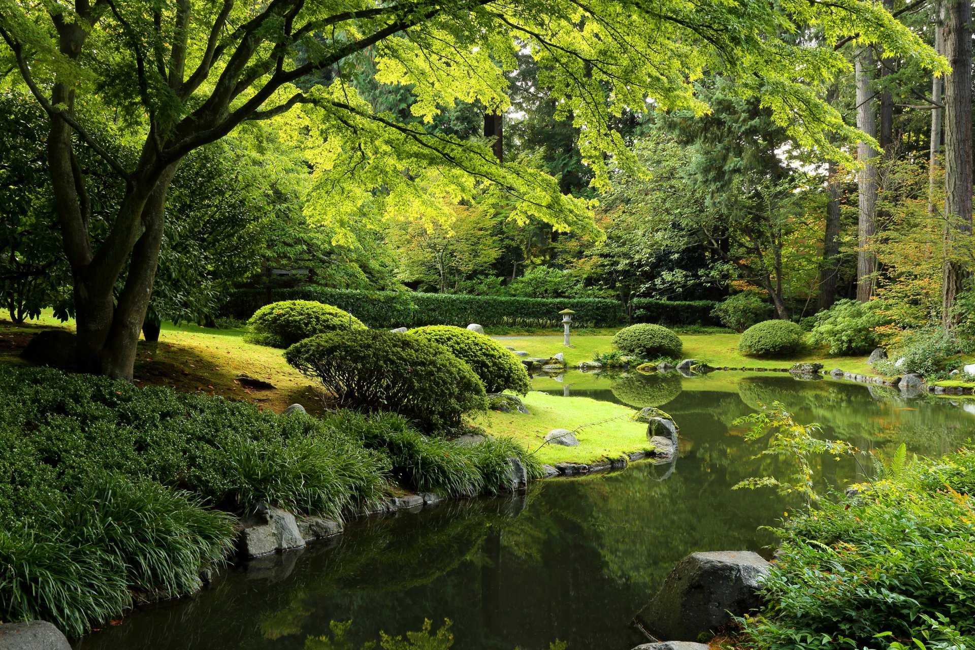 nitobe ogród vancouver kanada park staw kamienie trawa krzewy drzewa zieleń latarnia