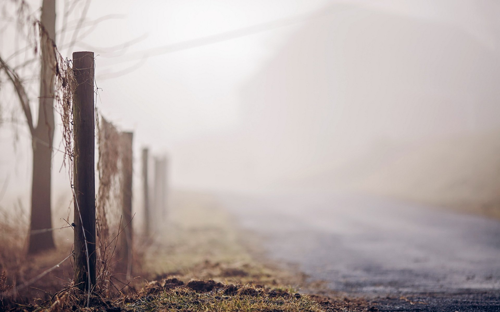 strada recinzione nebbia