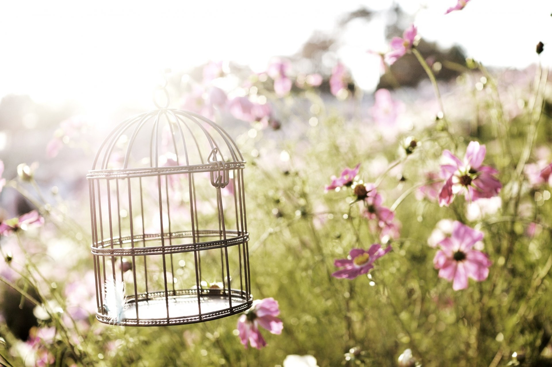 cage fleurs nature cage à oiseaux