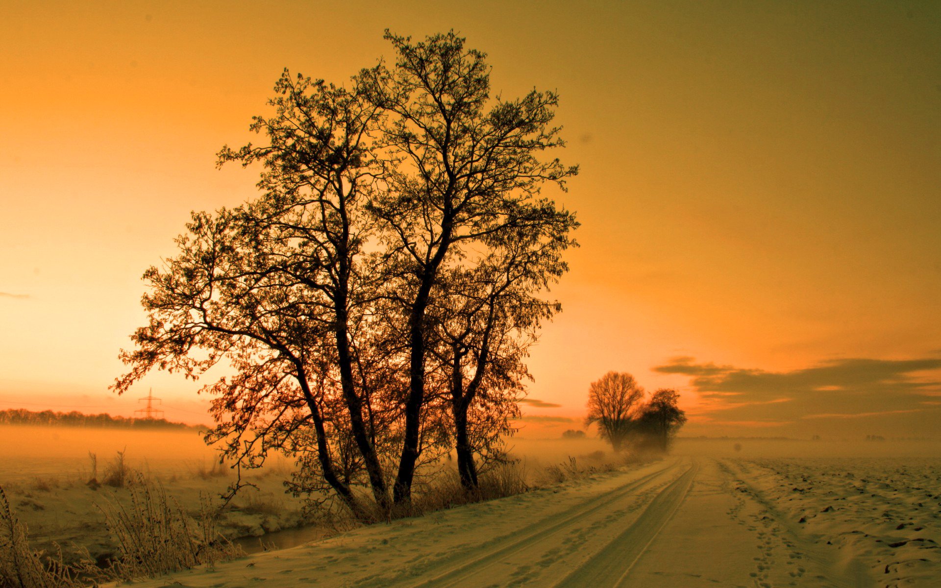 ciel coucher de soleil route arbres hiver neige brouillard brume brume