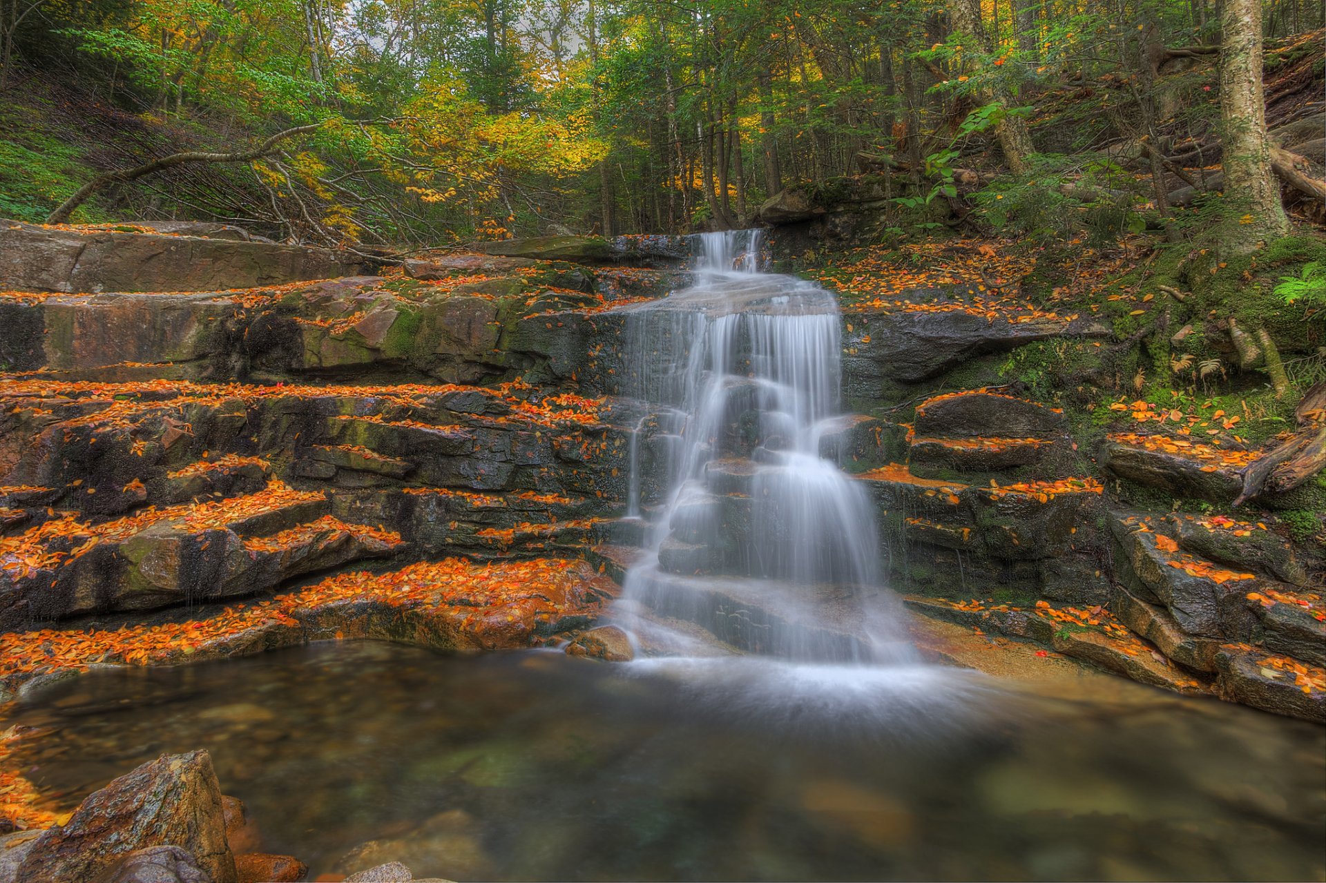 wald bäume herbst felsen kaskade wasserfall strom bach