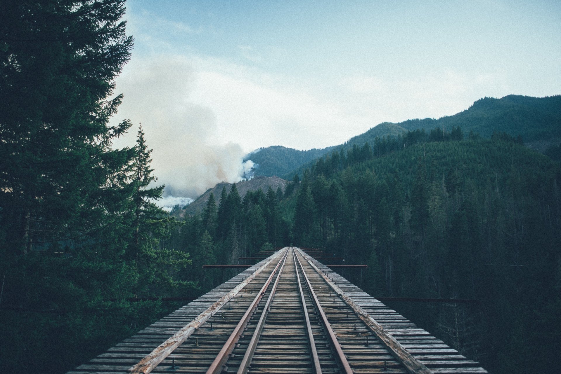 old steel road bridge flooring rails forest height