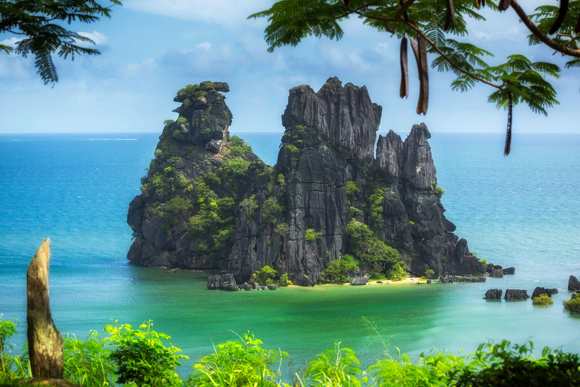 new caledonia pacific ocean rock island tree branche