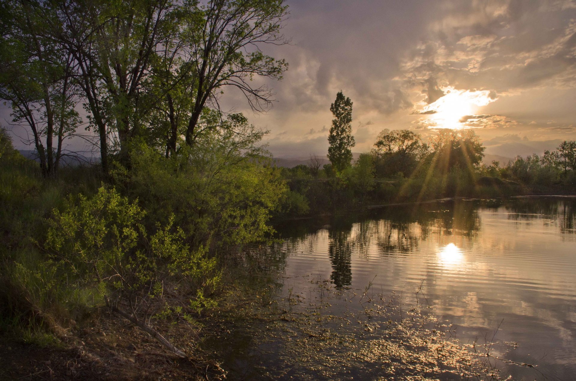 tree lake clouds sun rays night of mind