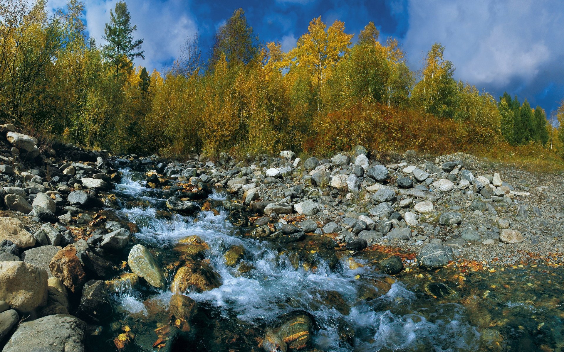 cielo autunno alberi foglie ruscello pietre