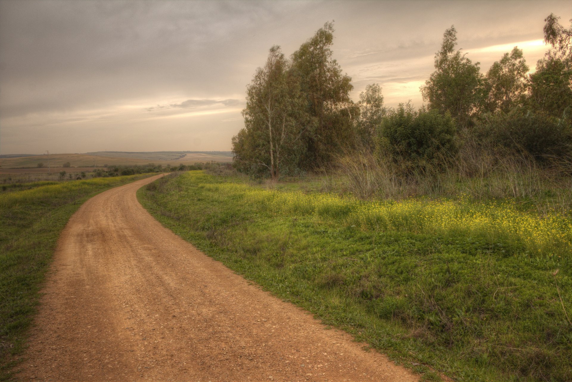 straße feld natur