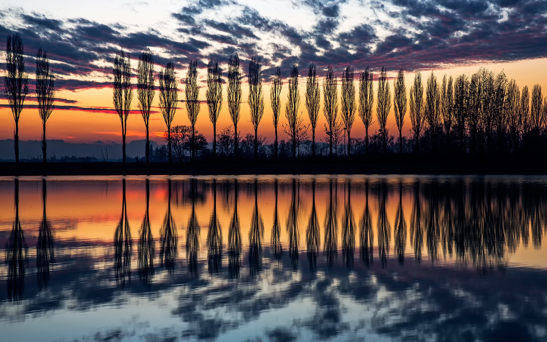 italie soir coucher de soleil ciel arbres peuplier silhouettes eau réflexions