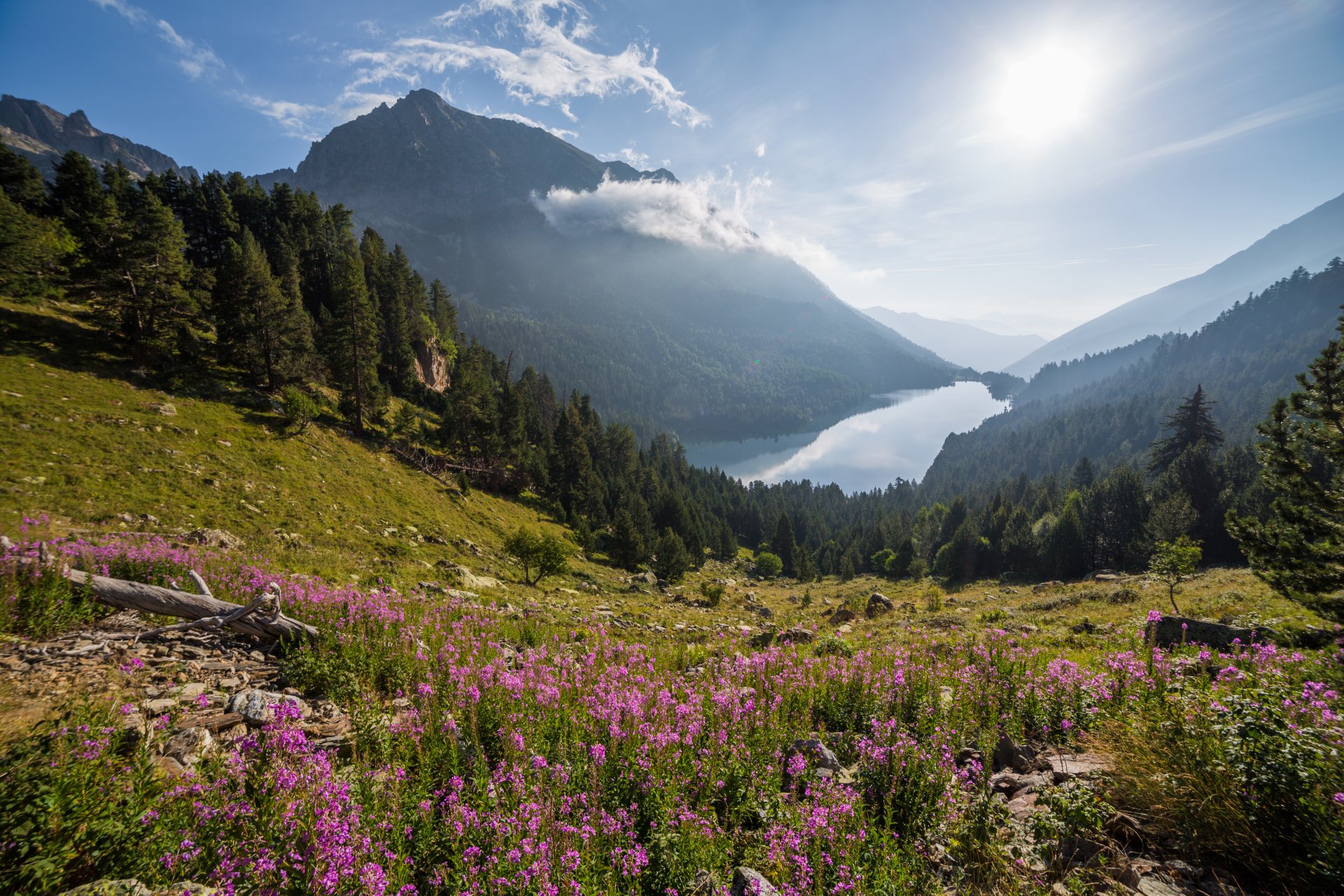 montagnes lac forêt nature aigüestortes de st.maurici national park espagne