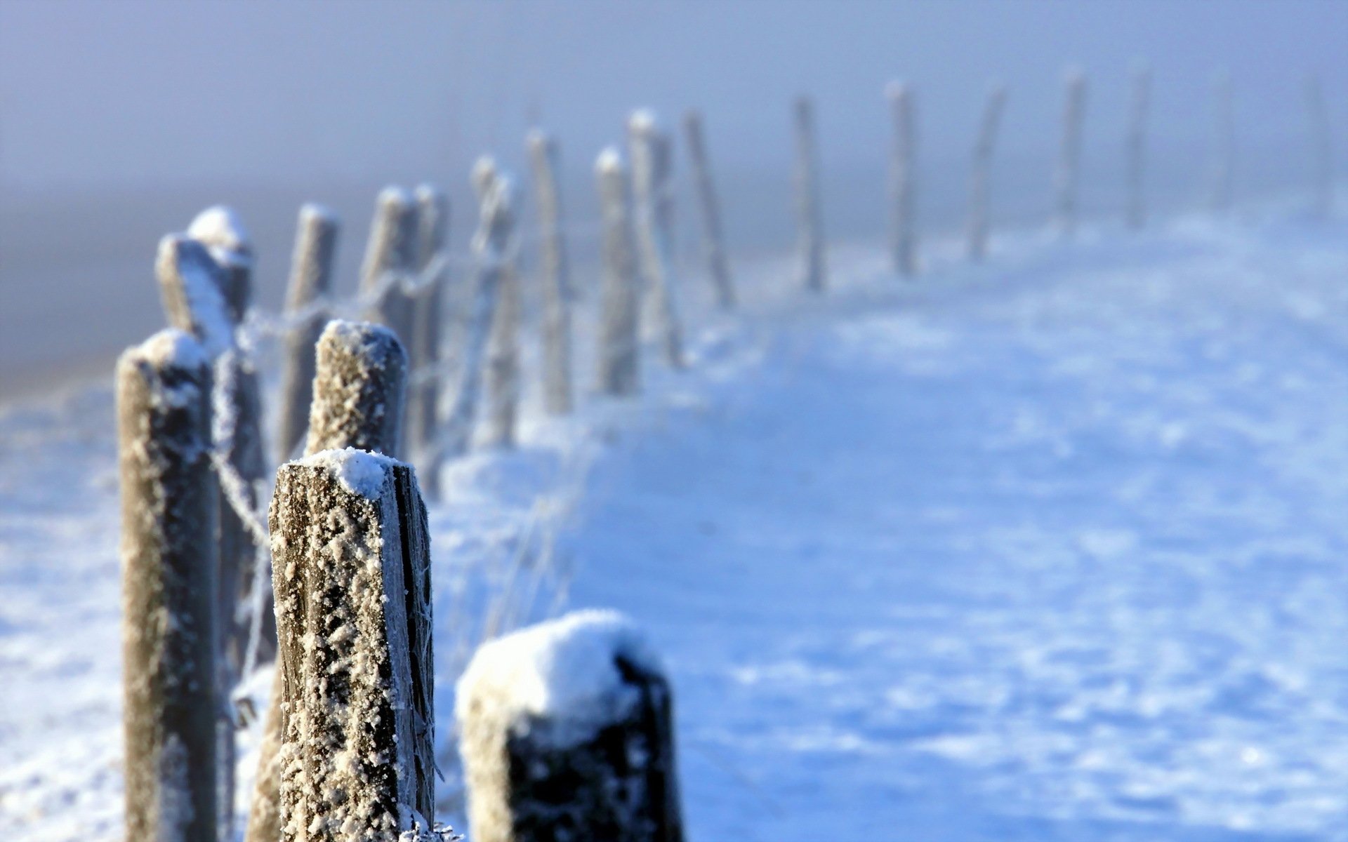 inverno recinzione nebbia