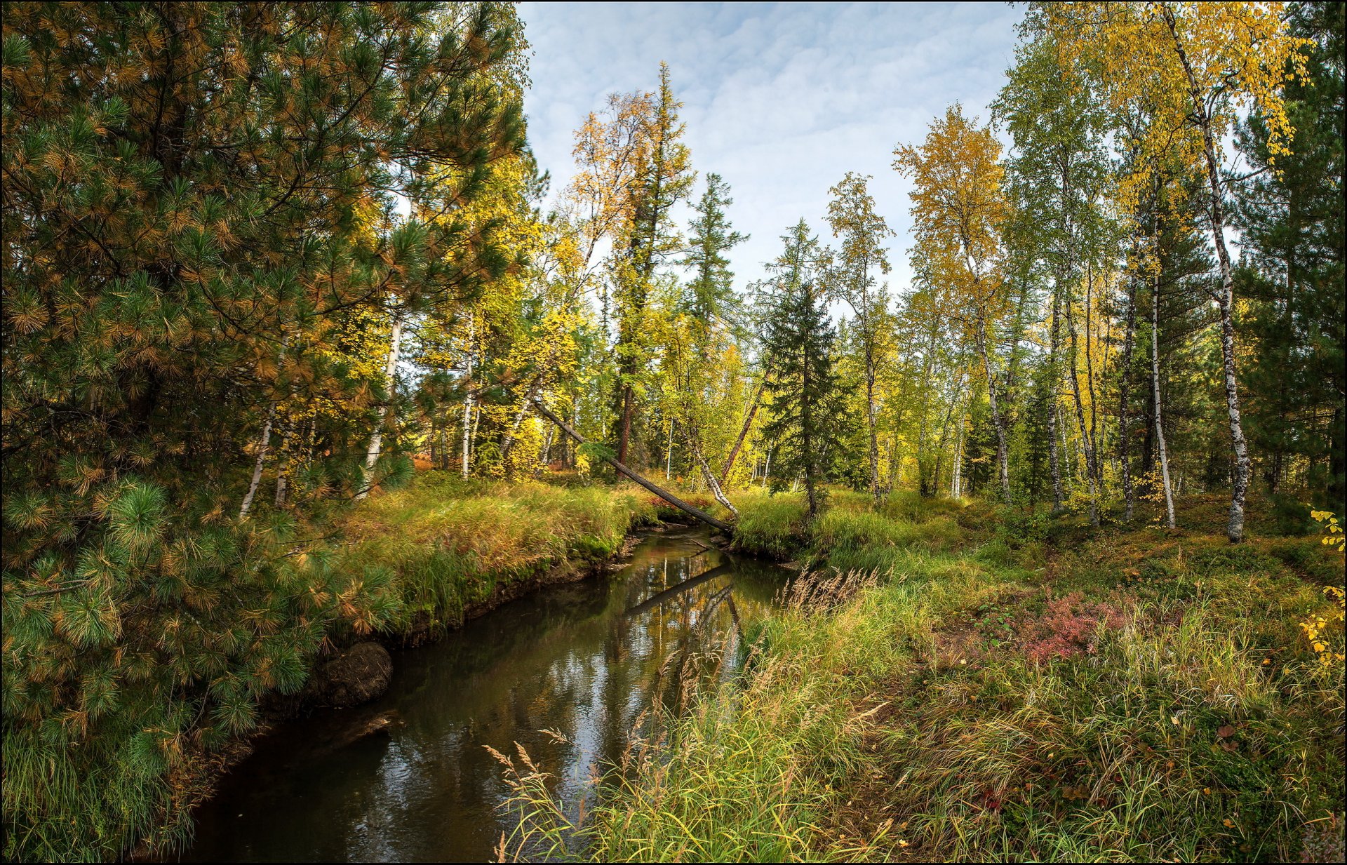 autumn landscape nature