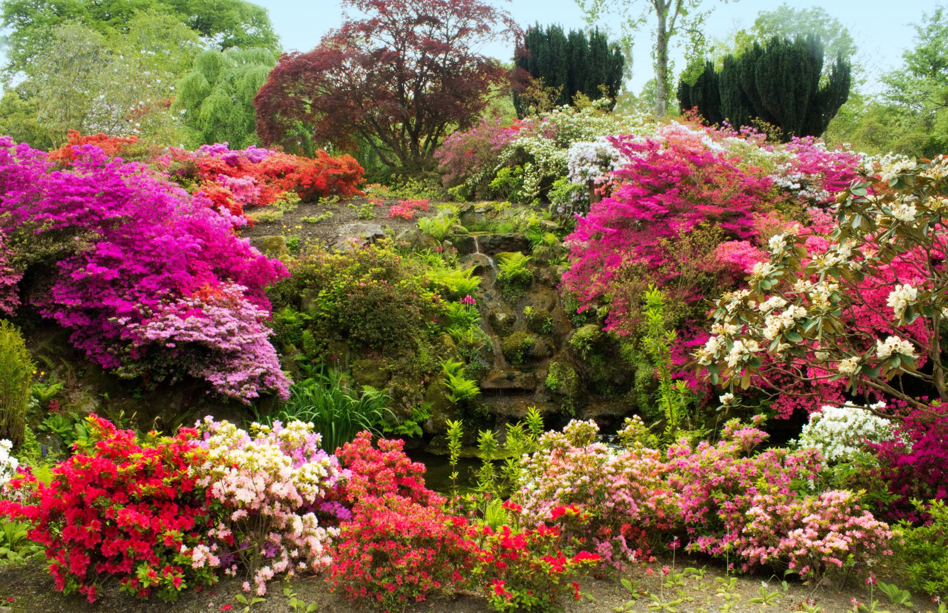 großbritannien bodnant gardens wales garten sträucher blumen azalee steine moos bäume