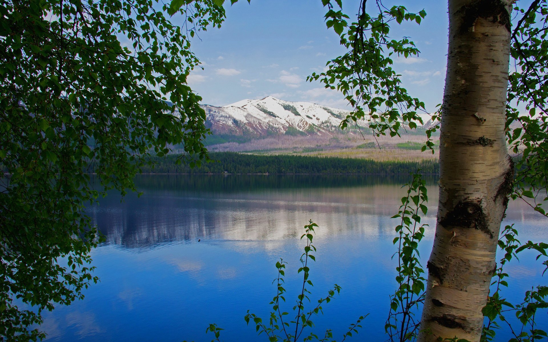 cielo montagne lago alberi neve