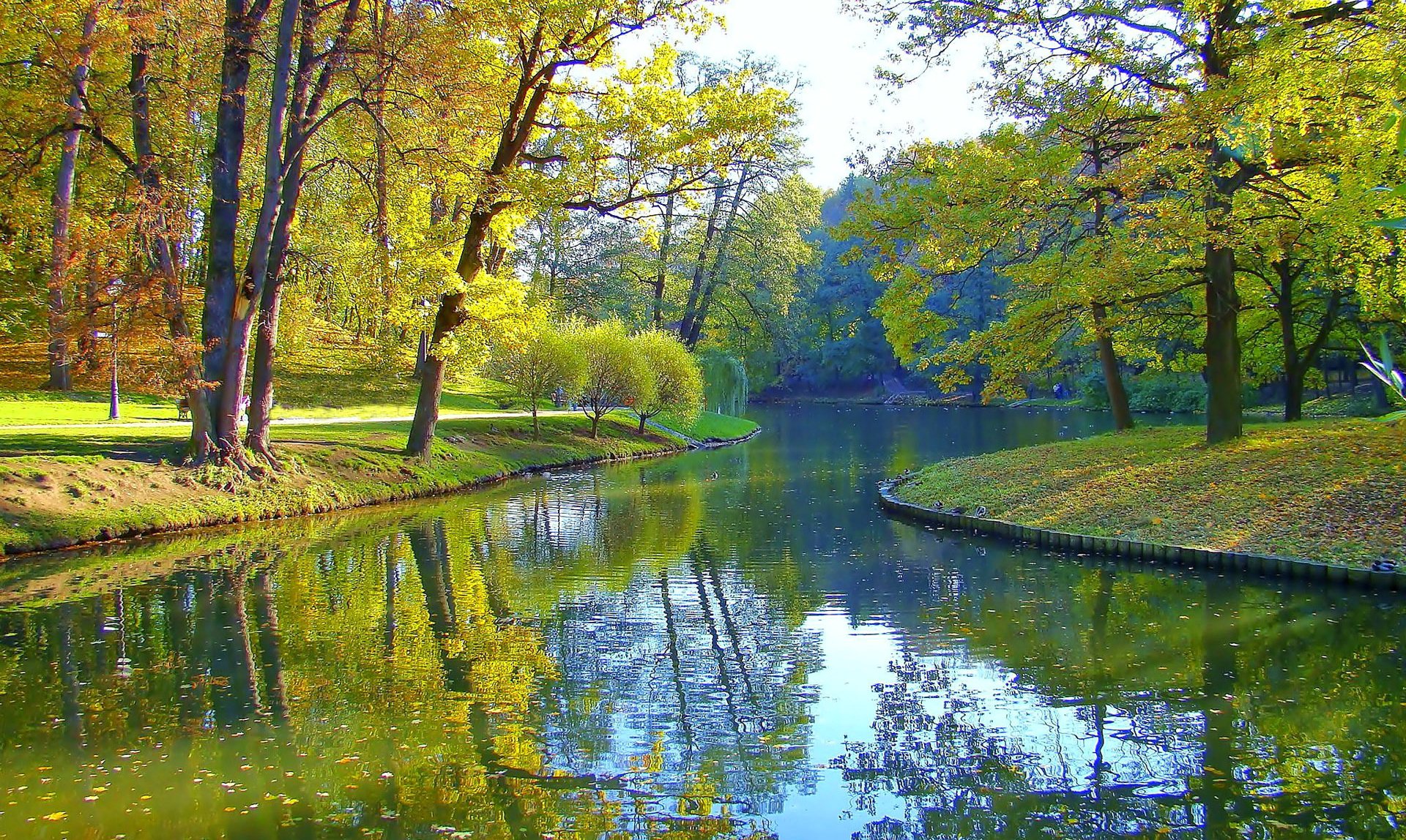 park drzewa staw jesień