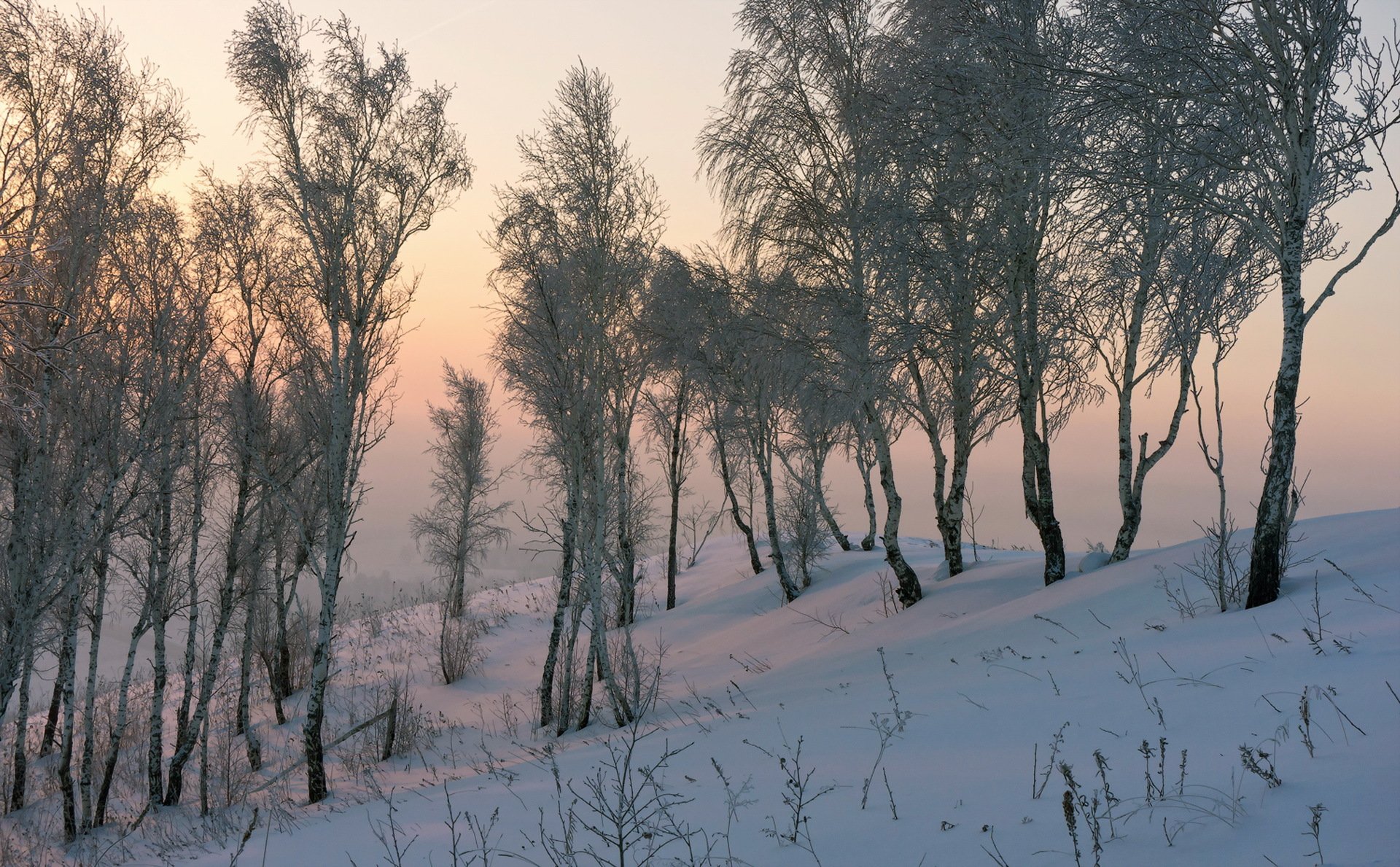 schnee natur