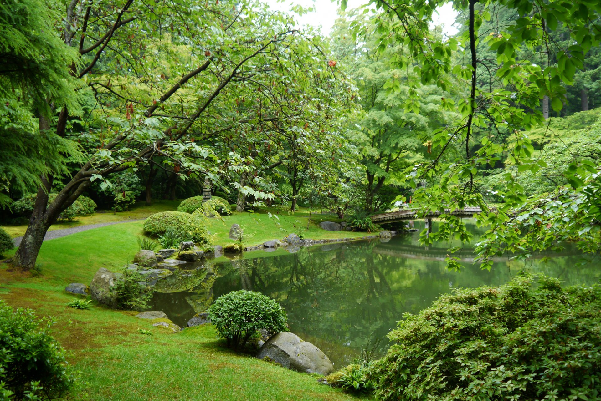 nitobe garden vancouver canada supplies pond stones grass bush tree branches leaves green bridge path