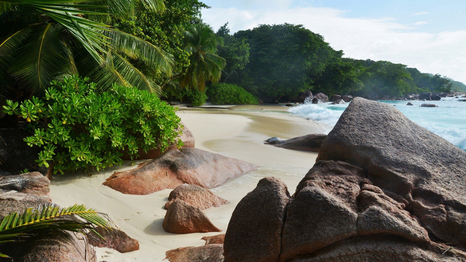 tropici mare spiaggia onde rocce palme.cespugli razze chiromante