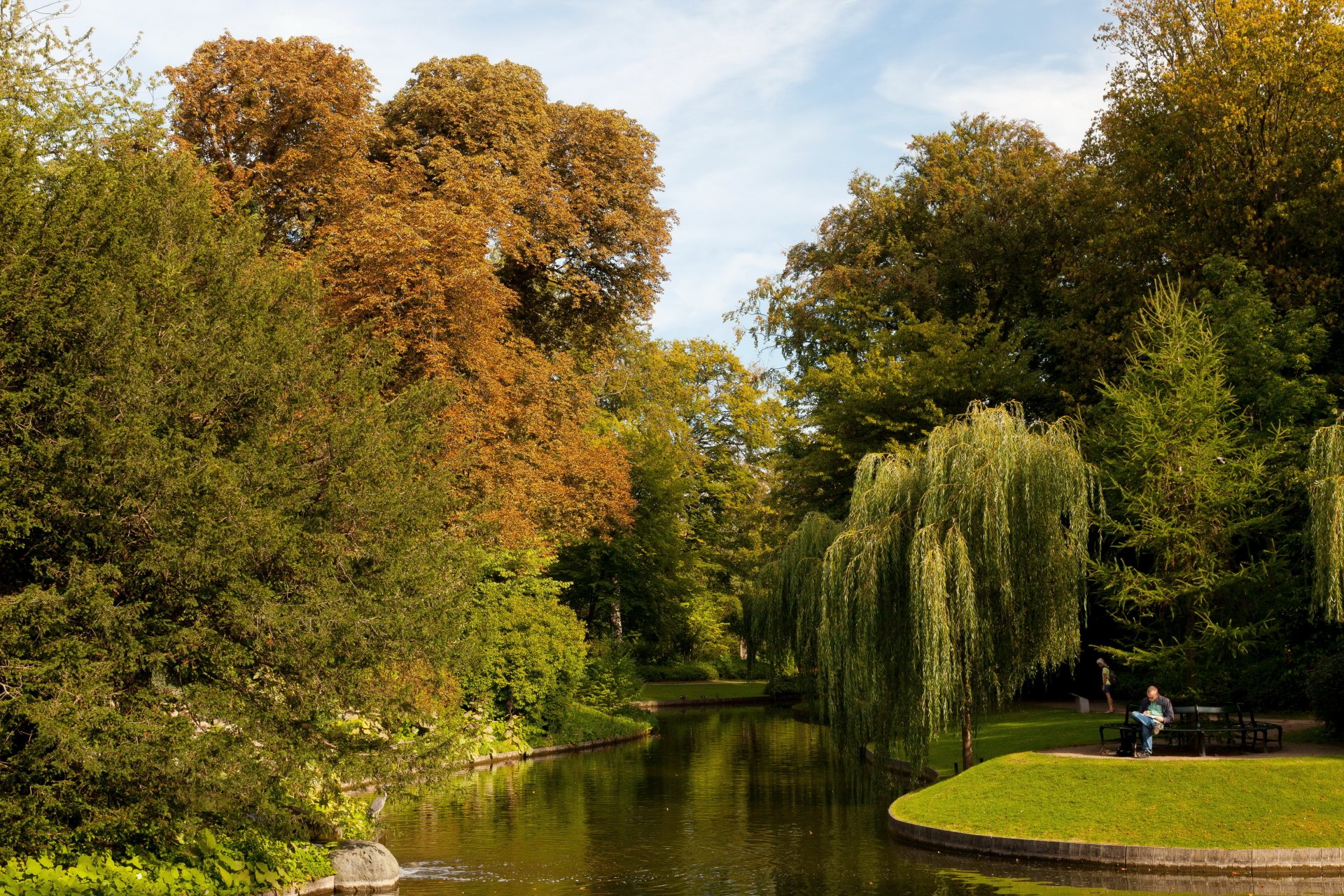 upplies denmark pond botanical copenhagen nature photo