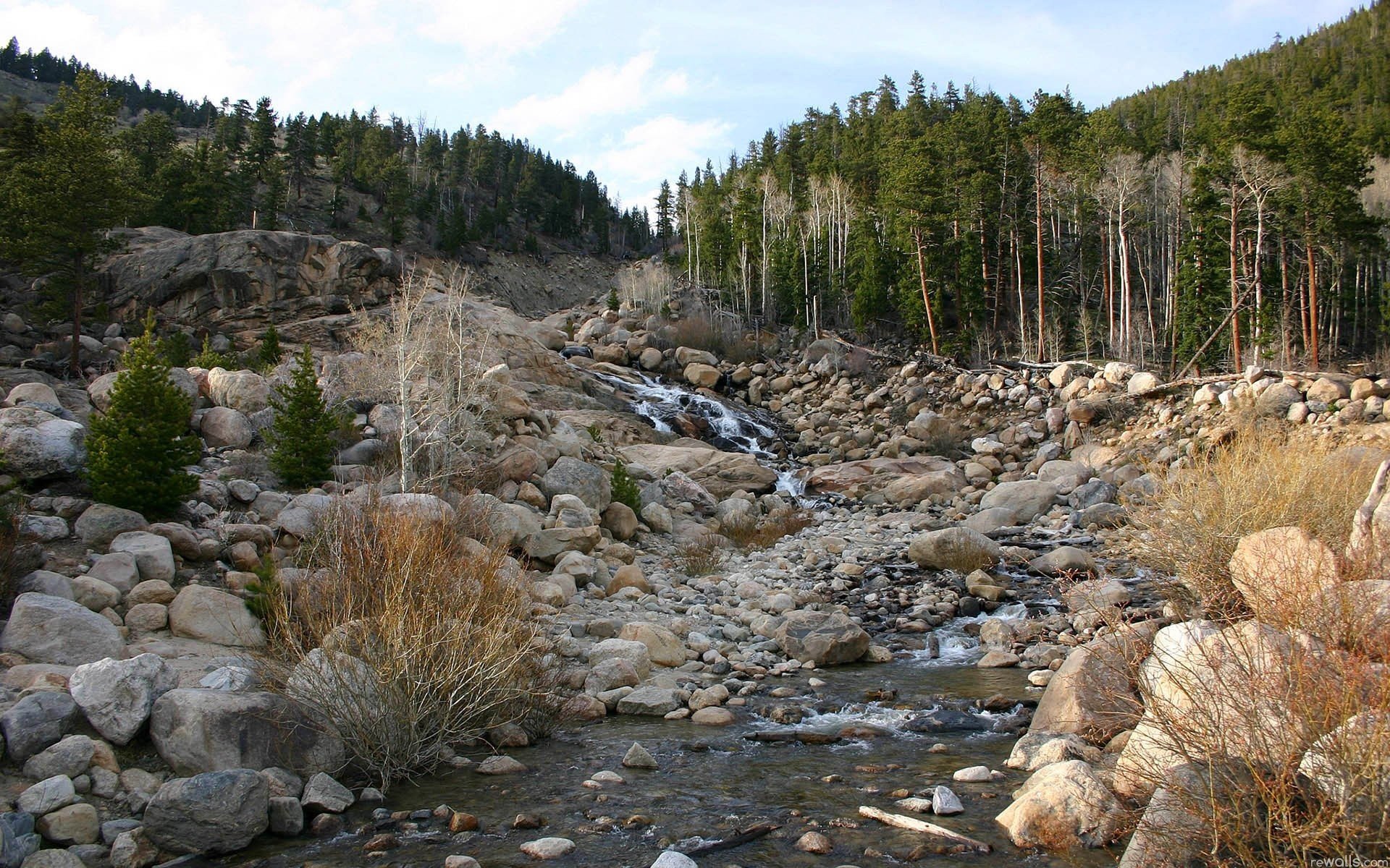 bosque pendiente cielo río piedras corriente paisaje