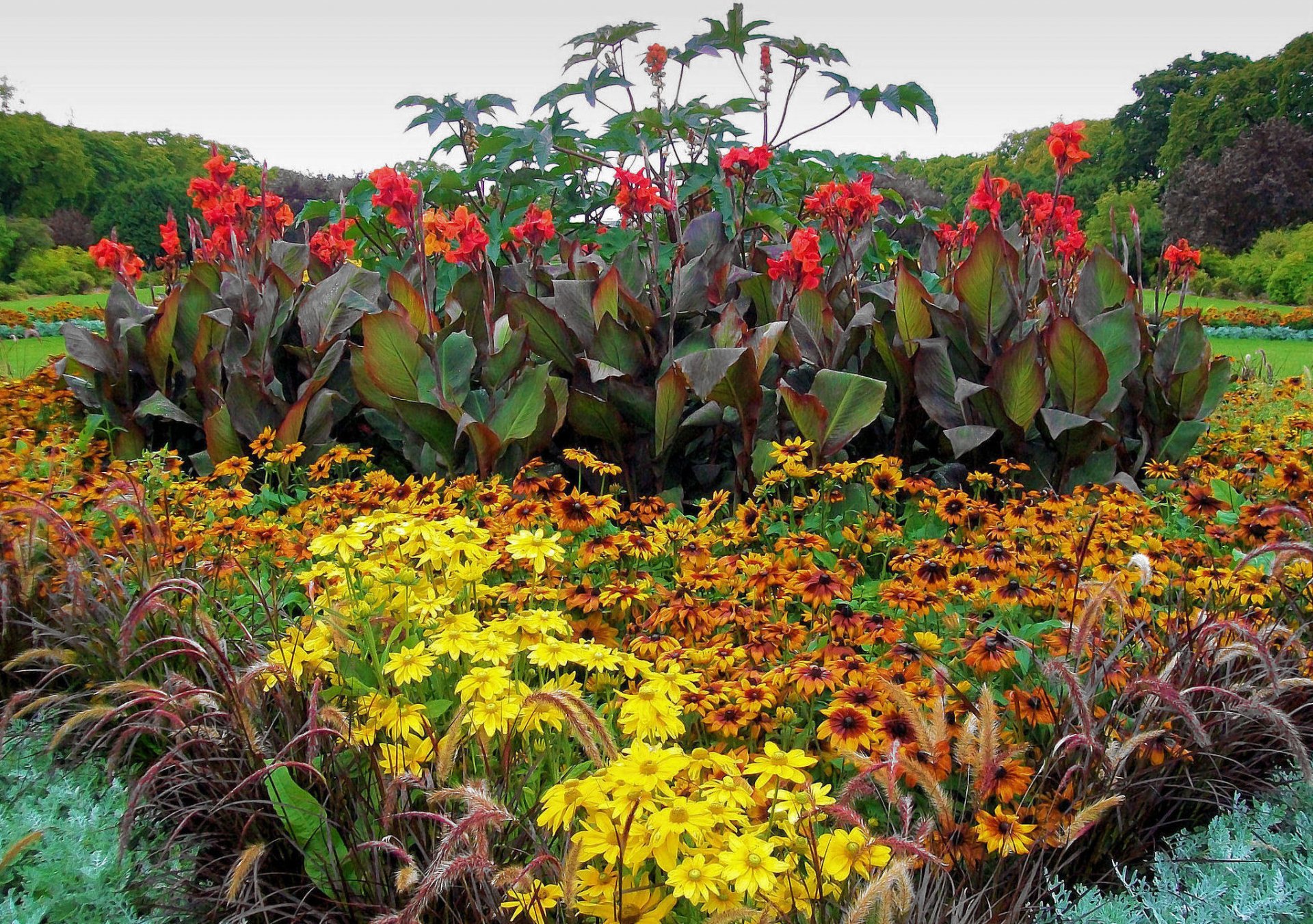 parc jardin parterre de fleurs fleurs