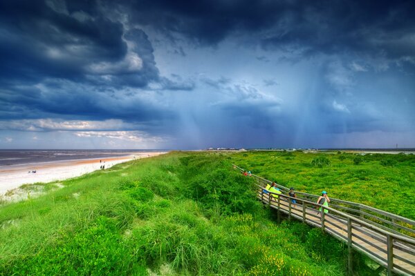 Bridge , among the grass , on the seashore