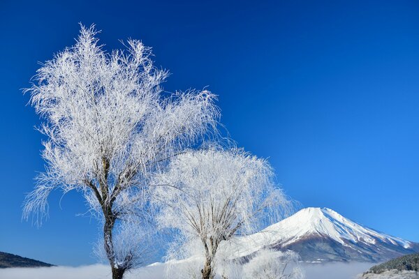 Winter morning on Mount Fujiyama