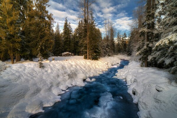 Зимняя природа: река среди елей и сугробов