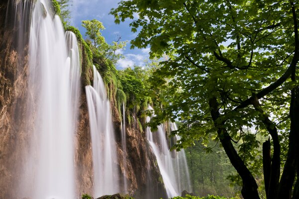 Cascada en las profundidades del bosque