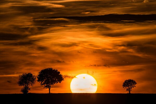 Sonnenuntergang Himmel Horizont Baum Silhouetten