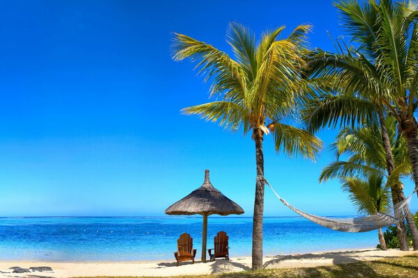 Tropical sea beach with palm trees