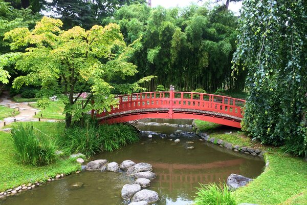 Garten mit Teich im japanischen Stil mit Steinen und Wegen