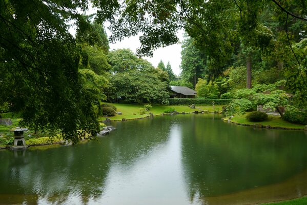 Landscape with pond and green trees