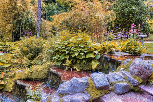 Laubpark mit steinigem Aufstieg