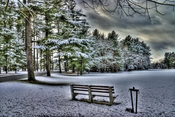 Winter square with a bench was covered with snow