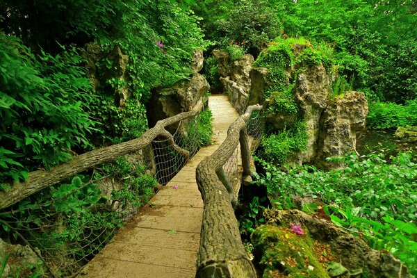 Ponte tra cespugli e alberi in un giardino giapponese a Parigi