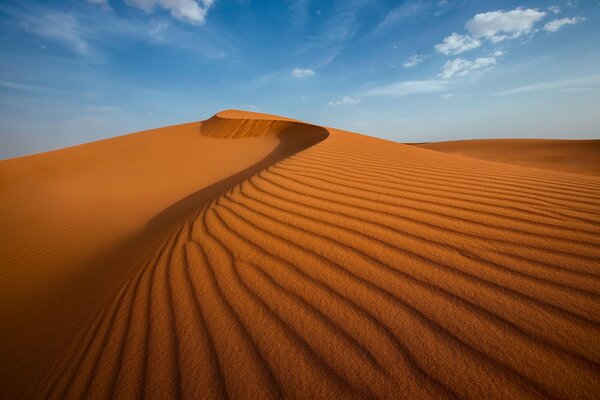 Desierto en un día despejado con barkhanes y dunas