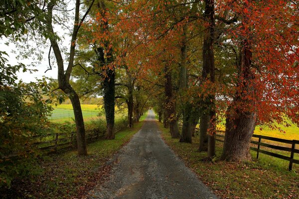 Strada accogliente in campagna