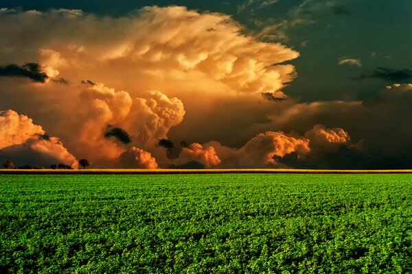 Image d un champ, et un nuage à l horizon