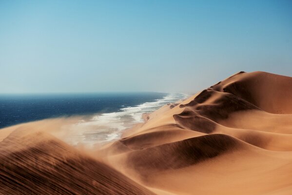 The ocean washes the dunes of the Kalahari desert