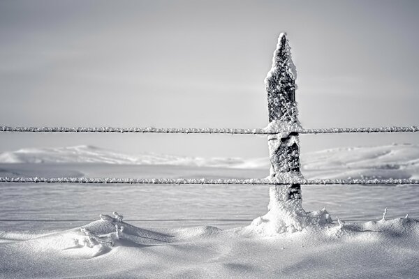 Foto von der Schneezaun-Säule