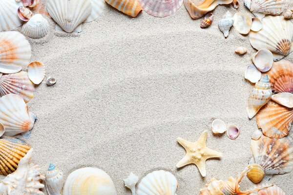 Cadre de coquillages sur le sable