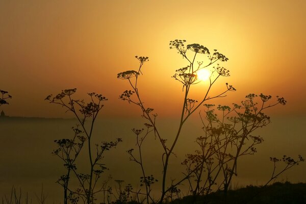 Sunset in the bosom of nature