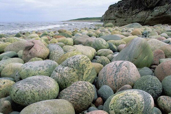 Y en las piedras del mar, la vida de alguien está escondida