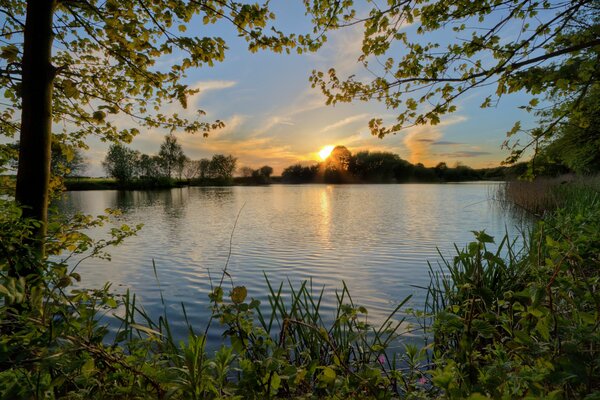 Schöner Sonnenuntergang am Flussufer