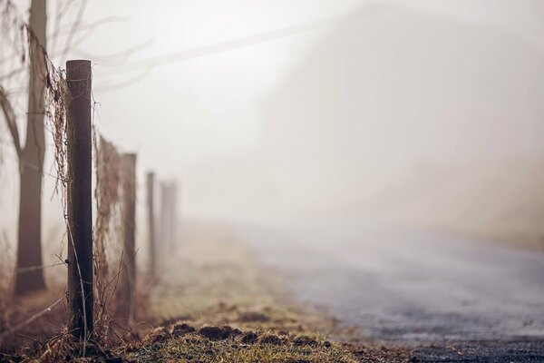 Camino a lo largo de la valla en la niebla