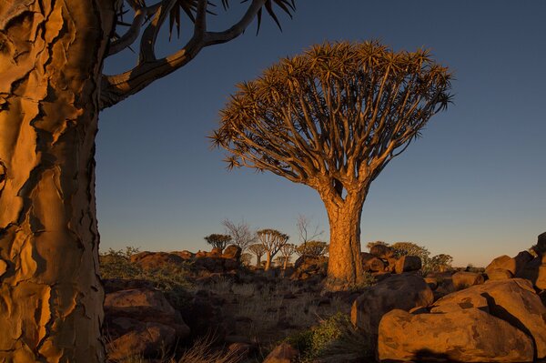 African sky at sunset in Namibia