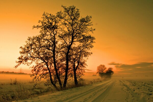 Nieve de invierno al atardecer