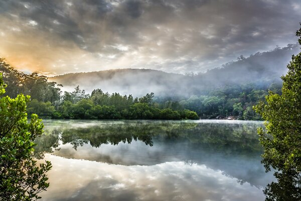 Beautiful landscape of the river in the forest