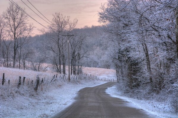 Mañana de invierno camino naturaleza en escarcha