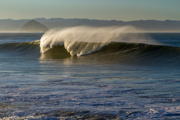 Wave in the sea on the sunny beach