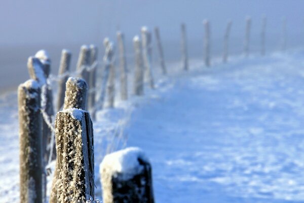 Clôture en hiver dans le brouillard de neige